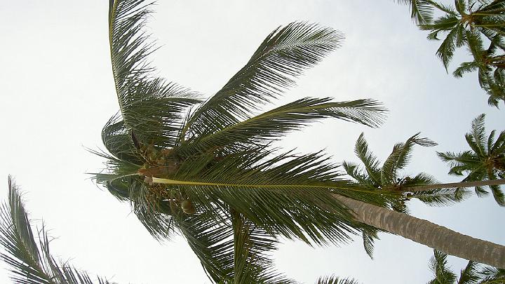 Dominicaanse republiek 2004-31.jpg